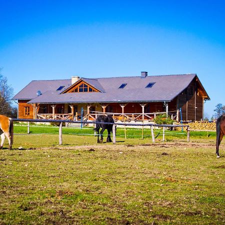 Karkonoskie Siodlo Villa Kostrzyca Buitenkant foto