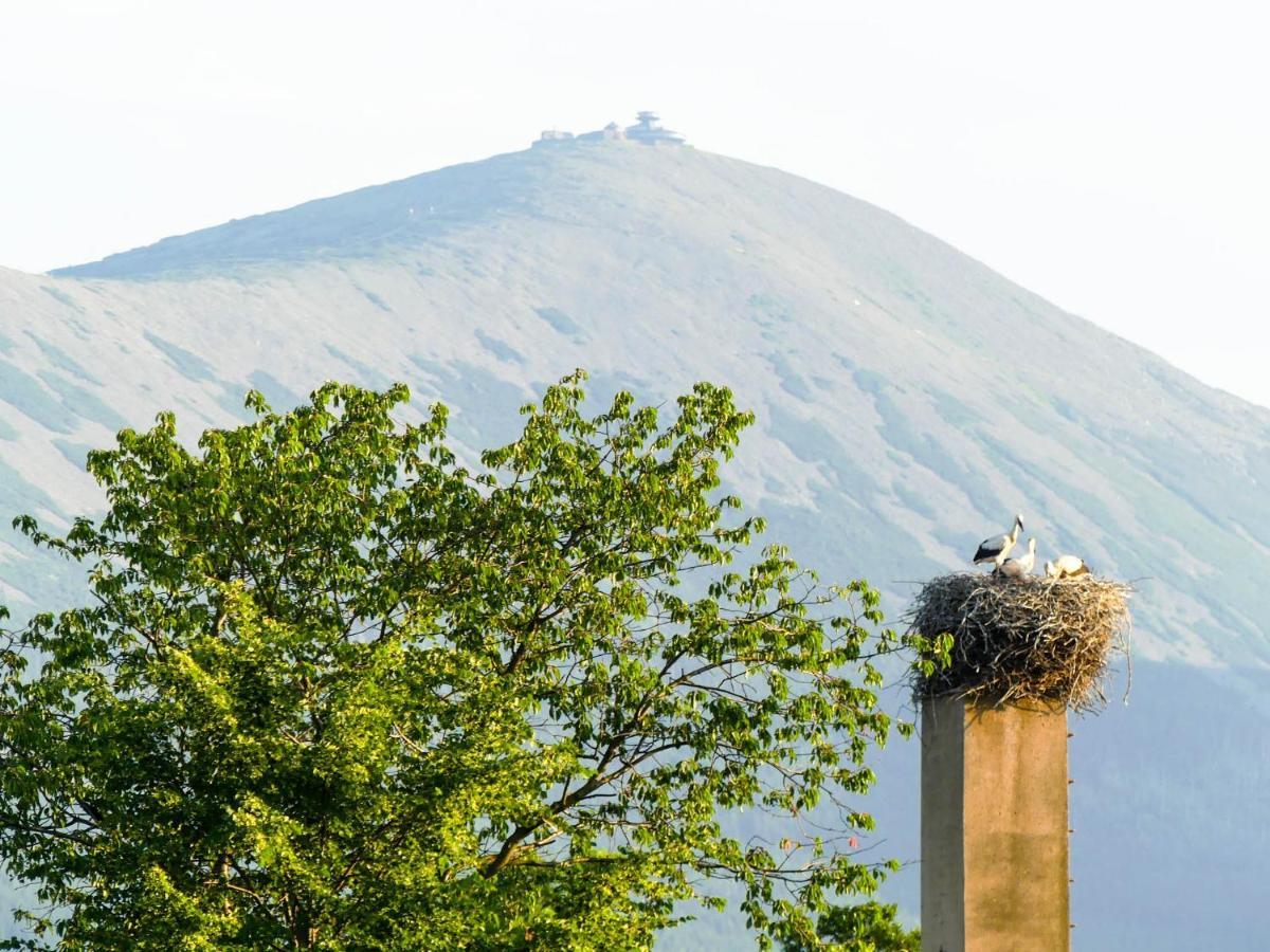 Karkonoskie Siodlo Villa Kostrzyca Buitenkant foto