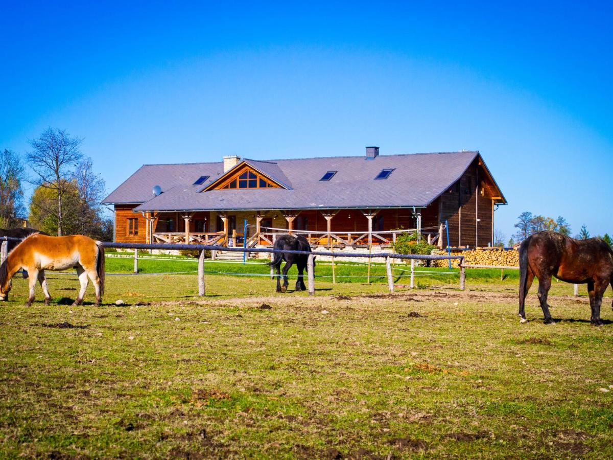 Karkonoskie Siodlo Villa Kostrzyca Buitenkant foto